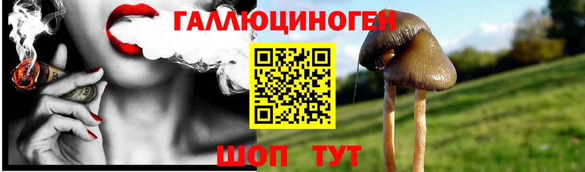 Галлюциногенные грибы мухоморы Псков